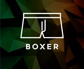 boxer type picture